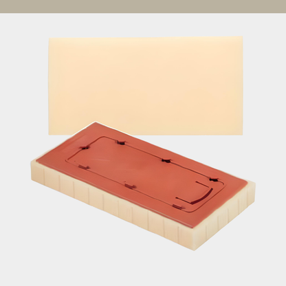 [RAIMONDI] Sweepex Sponge 17X34 (LARGE)