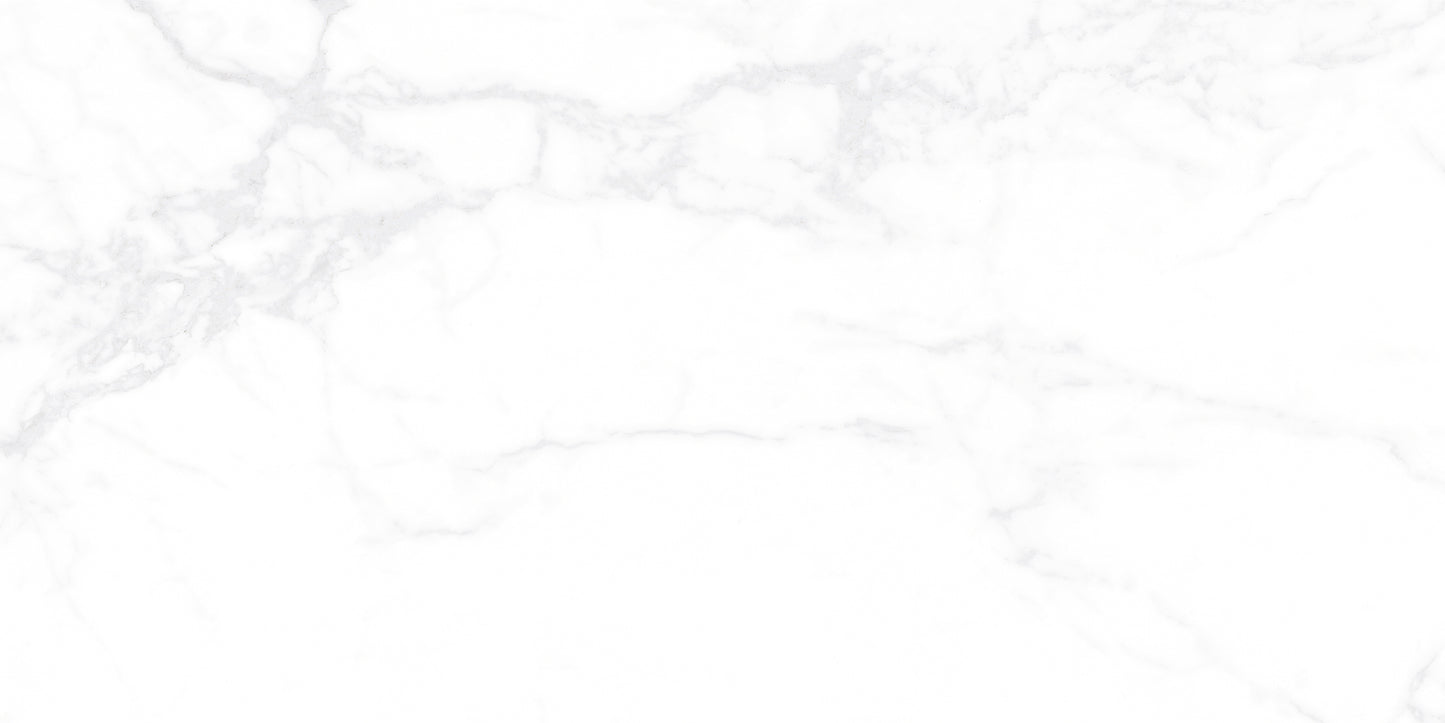 [TILE] CANDIDO