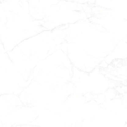 [TILE] CANDIDO