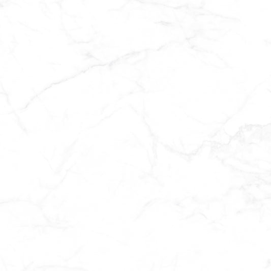[TILE] CANDIDO
