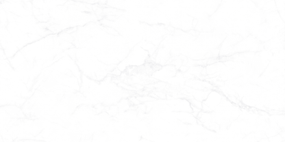 [TILE] CANDIDO
