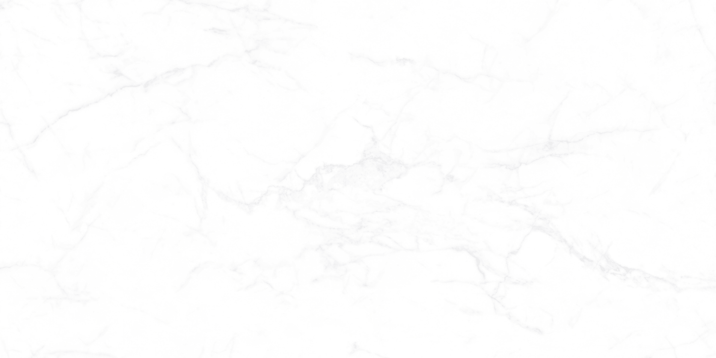 [TILE] CANDIDO